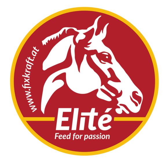 $data['details']['name']